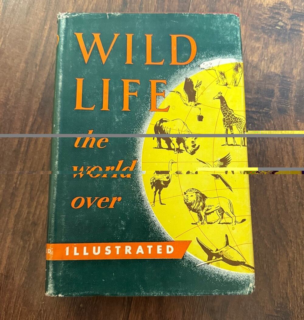 Wild Life the world over 1953